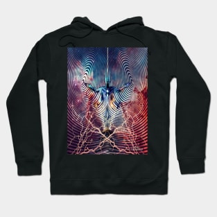 Electromagnetic Spectrum Hoodie